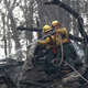 Illustration for article titled Two Kids Charged Over Tennessee Wildfires That Killed 14